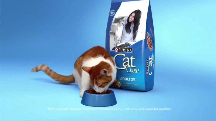 Корм для кошек Кэт Чау (Cat Chow) – отзывы и советы ветеринаров, цена
