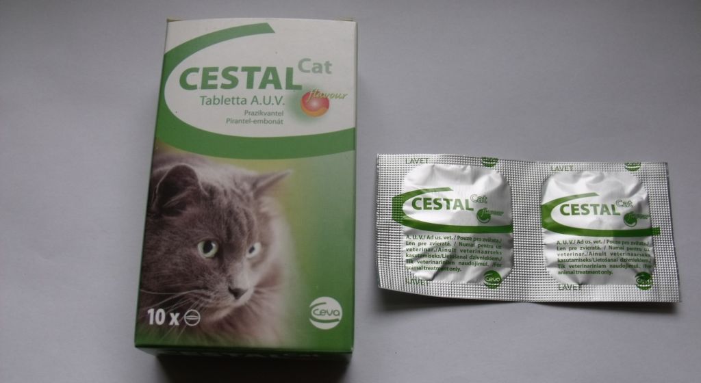 Цестал для кошек: инструкция по применению, состав, дозировка и цена |  kotodom.ru