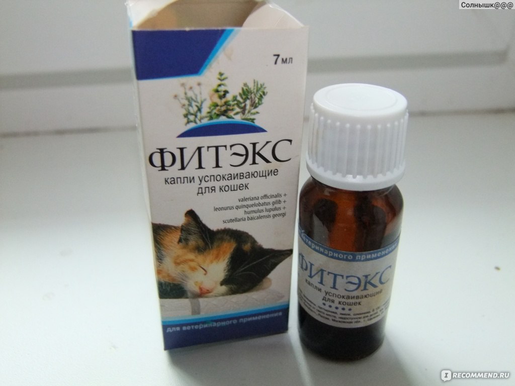 Какие таблетки можно давать котам. Капли для котов. Успокаивающие капли для кошек. Успокоительные препараты для котов. Успокоительные капли для УОТВ.