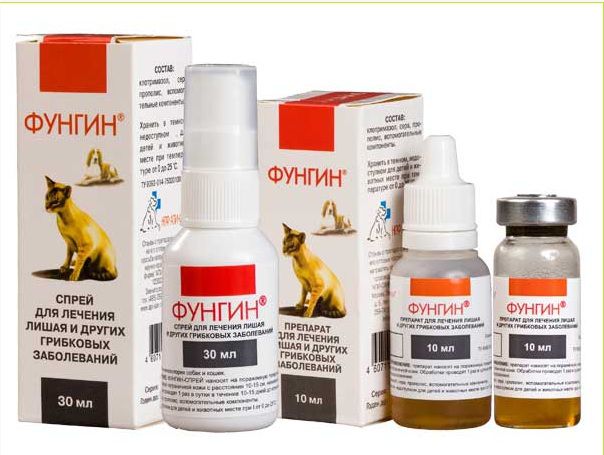 Фунгин для кошек: инструкция по применению, состав, дозировка и цена |  kotodom.ru
